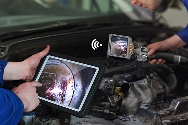 Teslong Remote Viewing